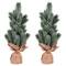 15" Unlit Frosted Spruce Sapling Artificial Christmas Tree Set
